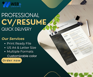 Elegant Resume Design Service, CV designs, CV writing in Maldives For Gain Job